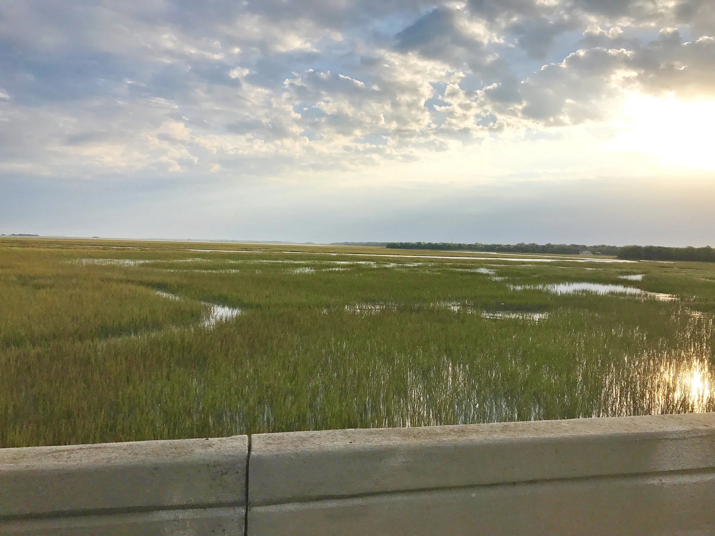 Wide view of a green marsh with winding water channels under a partly cloudy sunset sky, calm and open mood