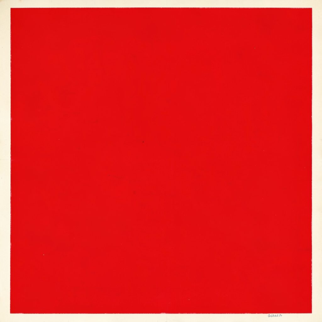 Yoga mat and healthy snacks including fresh fruit and bars, soft natural light, calm beige and green tones